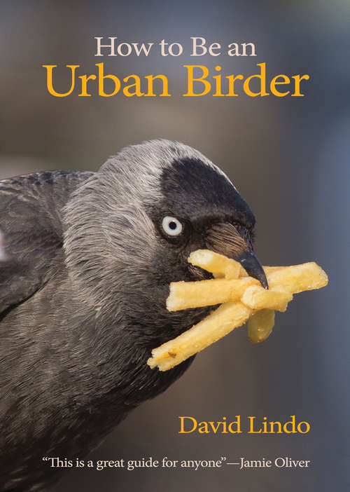 Book cover of How to Be an Urban Birder (WILDGuides #13)