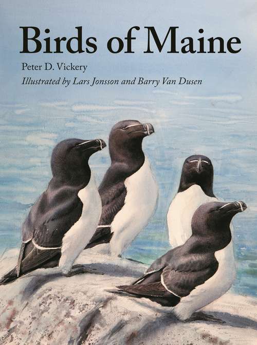 Book cover of Birds of Maine