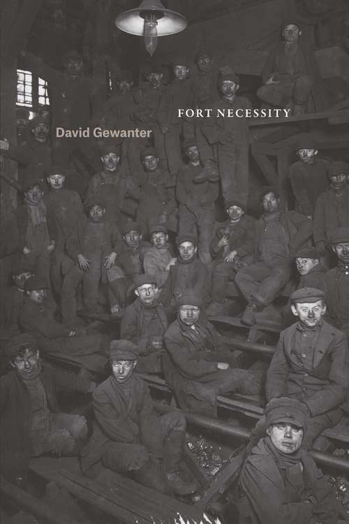 Book cover of Fort Necessity (Phoenix Poets)