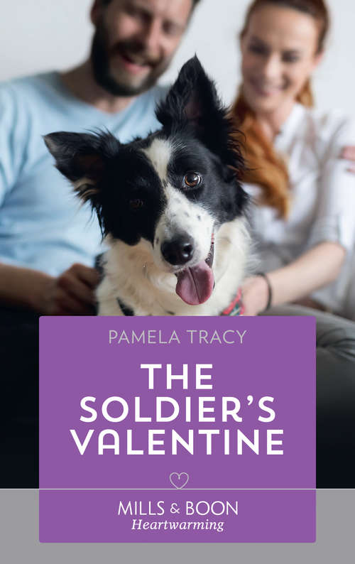 Book cover of The Soldier's Valentine (ePub edition) (Safe in Sarasota Falls #3)