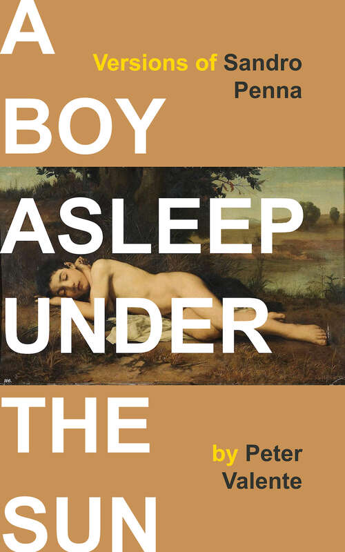 Book cover of A Boy Asleep under the Sun: Versions of Sandro Penna