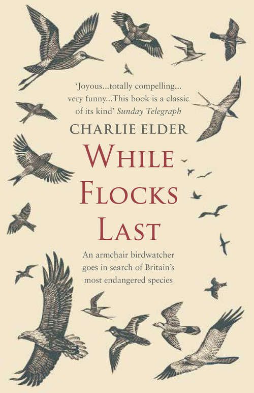 Book cover of While Flocks Last
