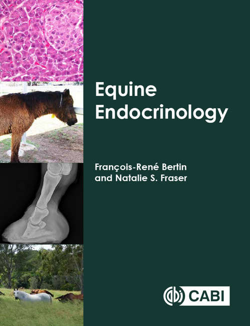 Book cover of Equine Endocrinology