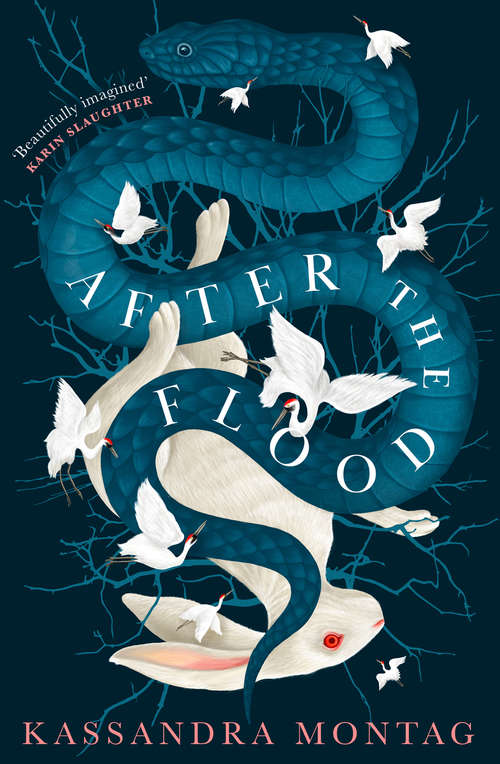 Book cover of After the Flood: A Novel