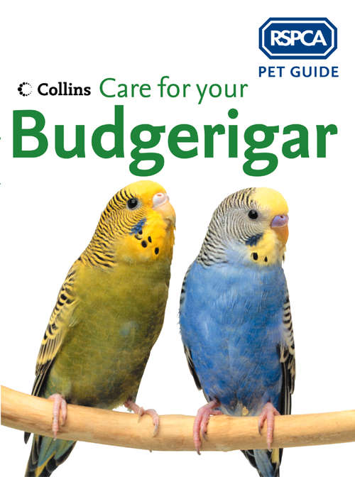 Book cover of Care for your Budgerigar (ePub edition) (RSPCA Pet Guide)