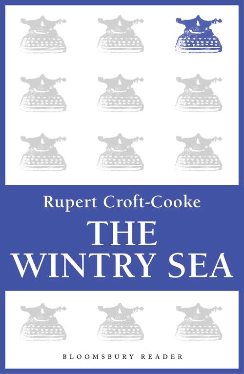 Book cover of The Wintry Sea