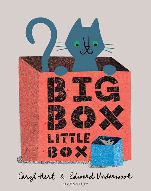 Book cover of Big Box Little Box