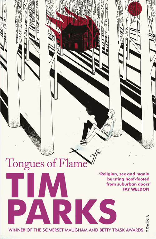 Book cover of Tongues Of Flame