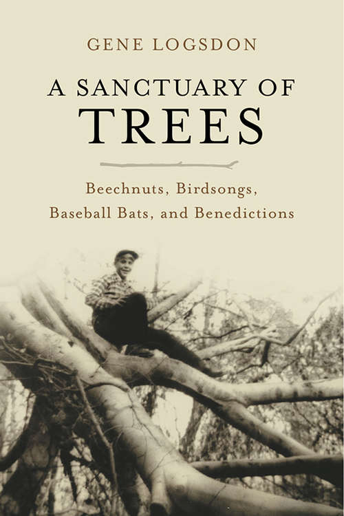Book cover of A Sanctuary of Trees: Beechnuts, Birdsongs, Baseball Bats, and Benedictions