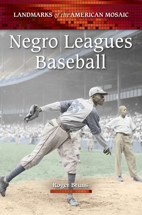 Book cover of Negro Leagues Baseball (Landmarks of the American Mosaic)