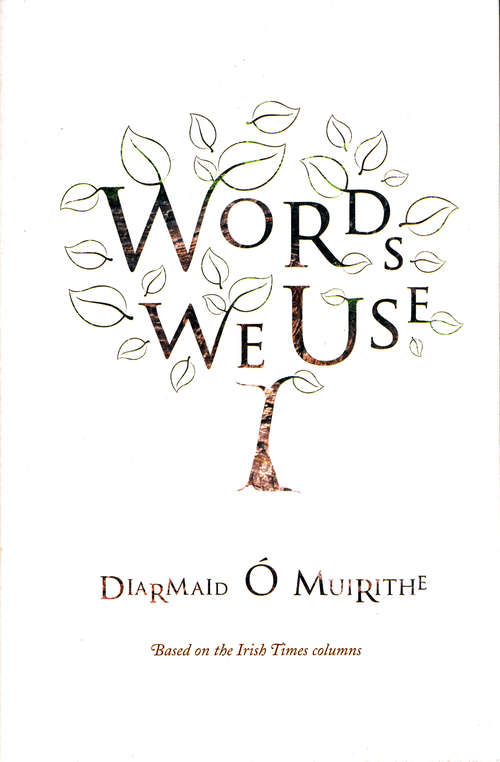 Book cover of Words We Use: The Meaning of Words And Where They Come From