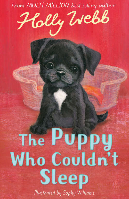 Book cover of The Puppy Who Couldn't Sleep (Holly Webb Animal Stories #42)