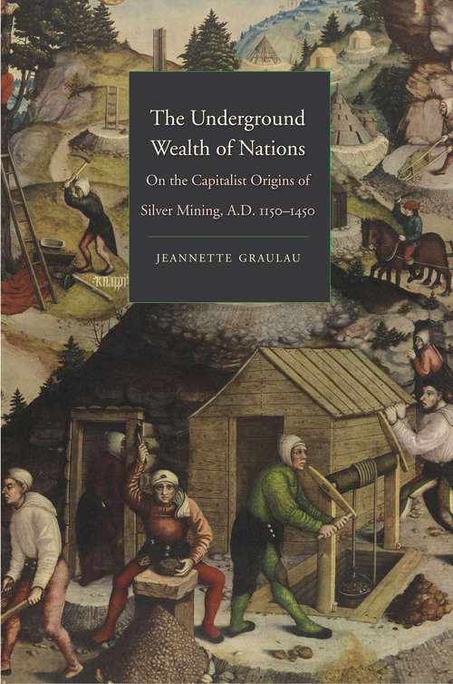 Book cover of The Underground Wealth of Nations: On the Capitalist Origins of Silver Mining, A.D. 1150-1450 (Yale Series in Economic and Financial History)