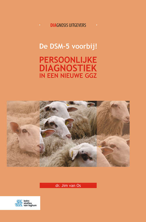 Book cover of De DSM-5 voorbij!: Persoonlijke diagnostiek in een nieuwe ggz