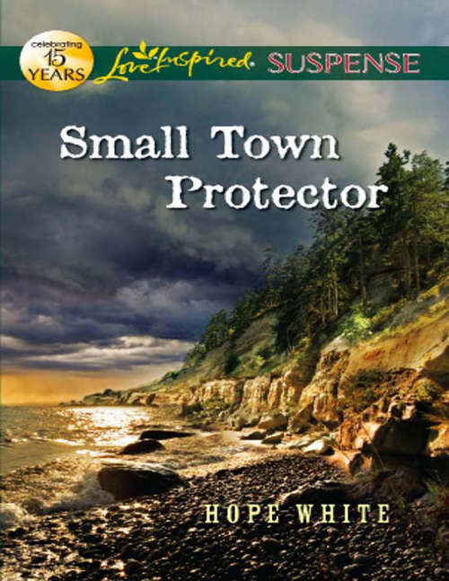 Book cover of Small Town Protector (Mills & Boon Love Inspired Suspense) (ePub First edition)