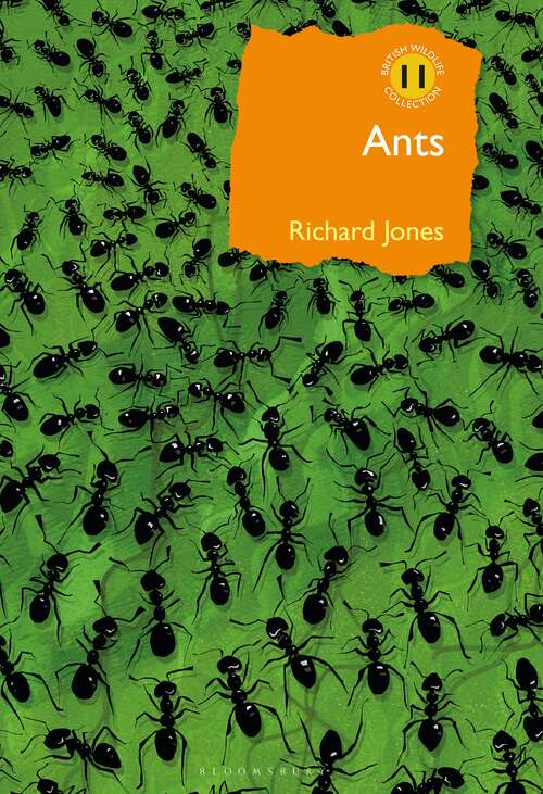 Book cover of Ants: The ultimate social insects (British Wildlife Collection)