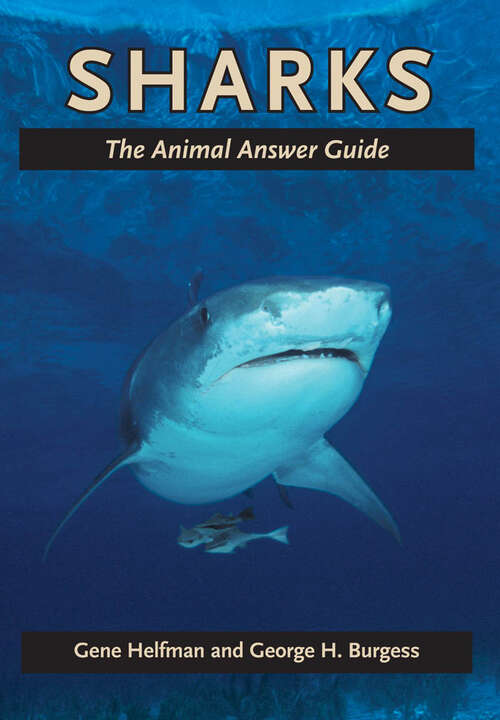 Book cover of Sharks: The Animal Answer Guide (The Animal Answer Guides: Q&A for the Curious Naturalist)