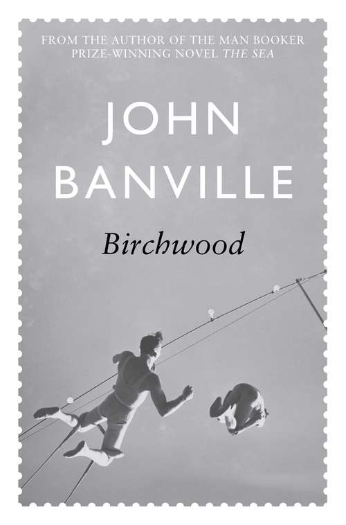 Book cover of Birchwood (3) (Vintage International)