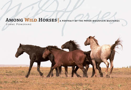 Book cover of Among Wild Horses: A Portrait of the Pryor Mountain Mustangs
