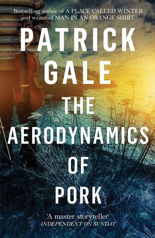 Book cover of The Aerodynamics of Pork: A Novel