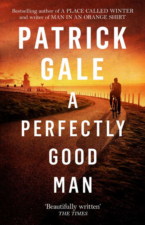 Book cover of A Perfectly Good Man: A Novel