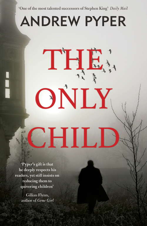 Book cover of The Only Child: The terrifying thriller that will blow your mind