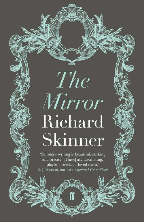 Book cover of The Mirror (Main)