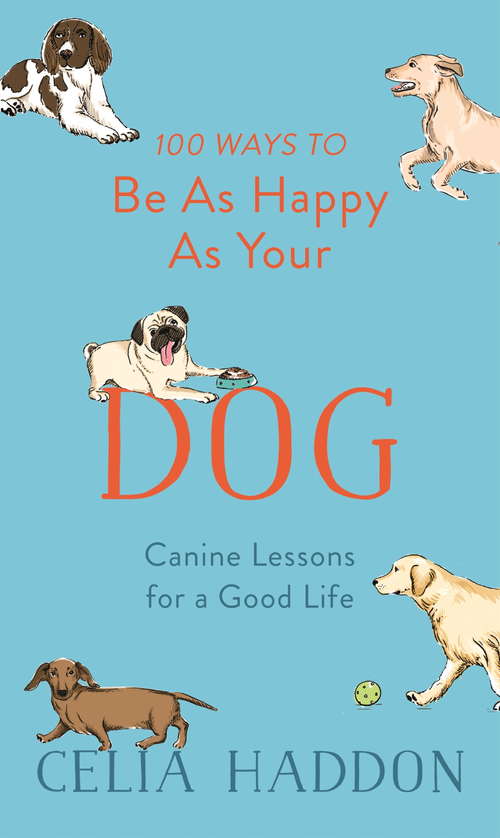 Book cover of 100 Ways to Be As Happy As Your Dog