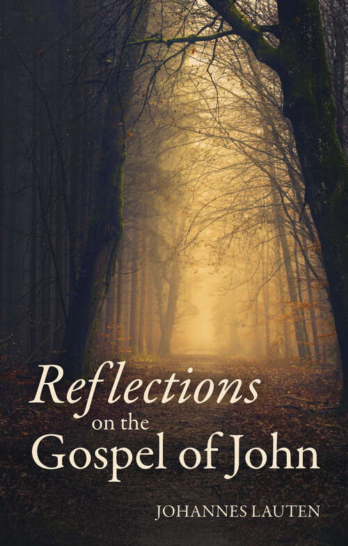 Book cover of Reflections on the Gospel of John