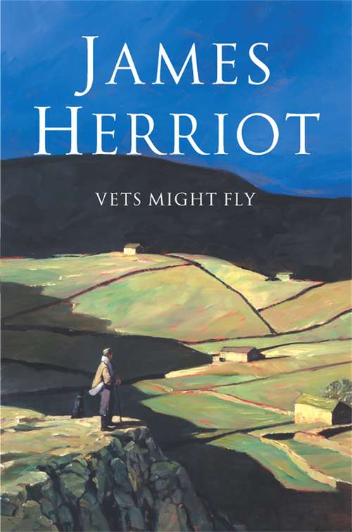 Book cover of Vets Might Fly (Bull's-eye Ser.)