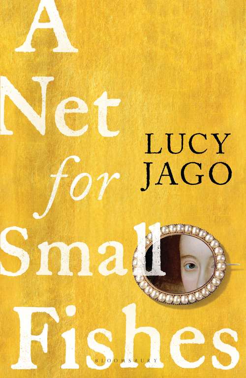 Book cover of A Net for Small Fishes