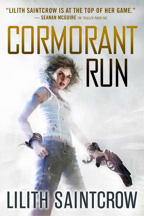 Book cover of Cormorant Run