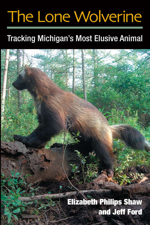 Book cover of The Lone Wolverine: Tracking Michigan's Most Elusive Animal