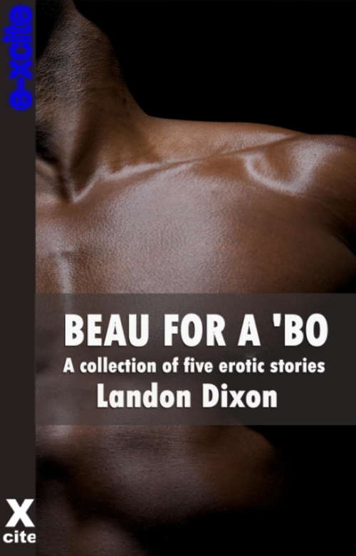 Book cover of Beau For A Bo: A collection of gay erotic stories