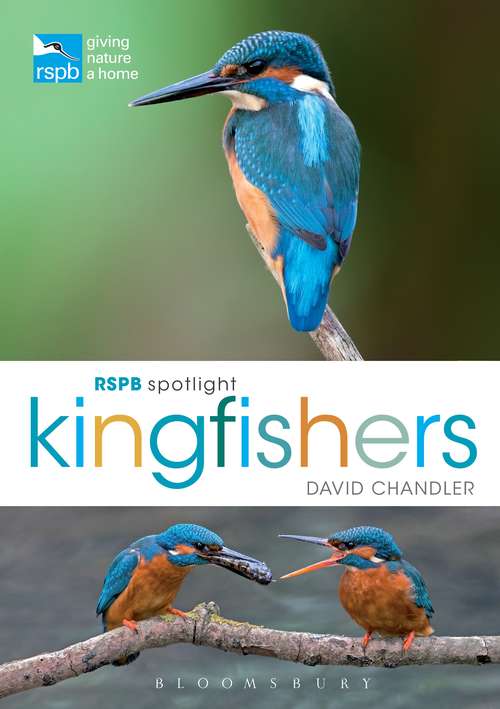 Book cover of RSPB Spotlight Kingfishers