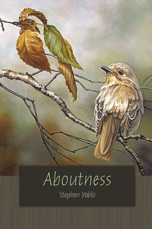 Book cover of Aboutness