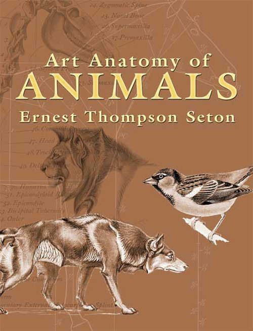 Book cover of Art Anatomy of Animals
