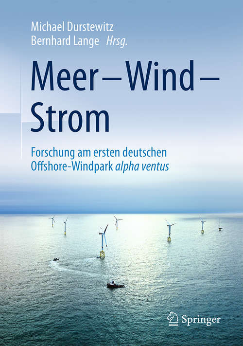 Book cover of Meer – Wind – Strom: Forschung am ersten deutschen Offshore-Windpark alpha ventus (1. Aufl. 2016)