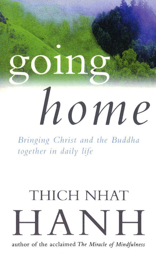 Book cover of Going Home: Jesus And Buddha As Brothers