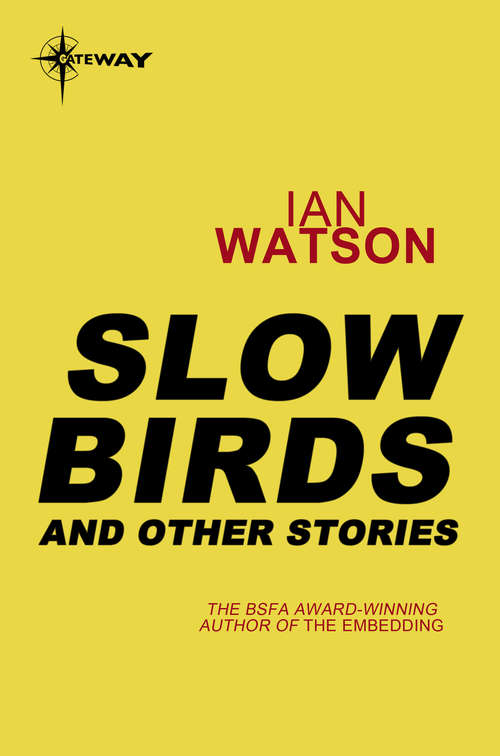 Book cover of Slow Birds: And Other Stories
