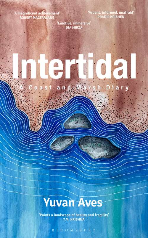 Book cover of Intertidal: A Coast and Marsh Diary