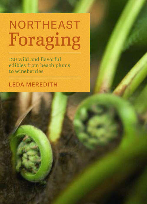 Book cover of Northeast Foraging: 120 Wild and Flavorful Edibles from Beach Plums to Wineberries (Regional Foraging Series)