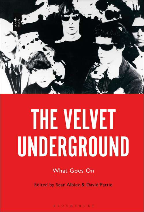 Book cover of The Velvet Underground: What Goes On