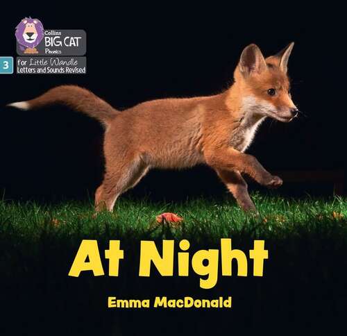 Book cover of At Night: Phase 3 Set 1 Blending Practice (big Cat Phonics For Little Wandle Letters And Sounds Revised) (Big Cat Phonics For Little Wandle Letters And Sounds Revised Ser.)