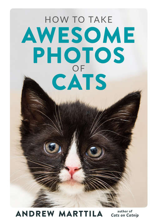 Book cover of How to Take Awesome Photos of Cats