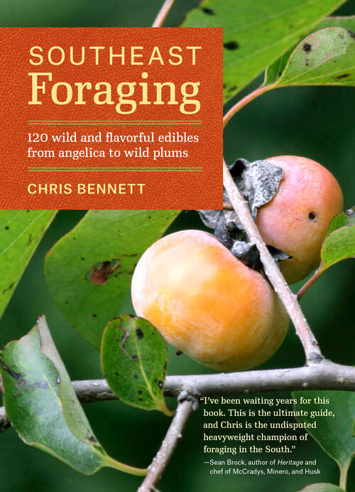 Book cover of Southeast Foraging: 120 Wild and Flavorful Edibles from Angelica to Wild Plums (Regional Foraging Series)