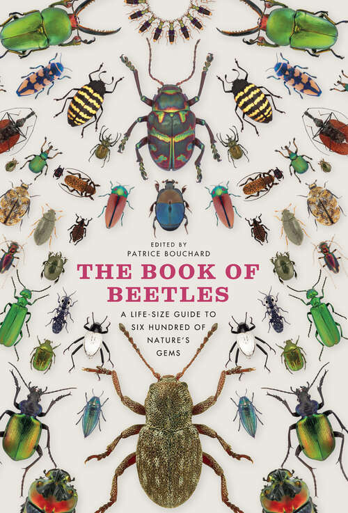 Book cover of The Book of Beetles: A Life-Size Guide to Six Hundred of Nature's Gems