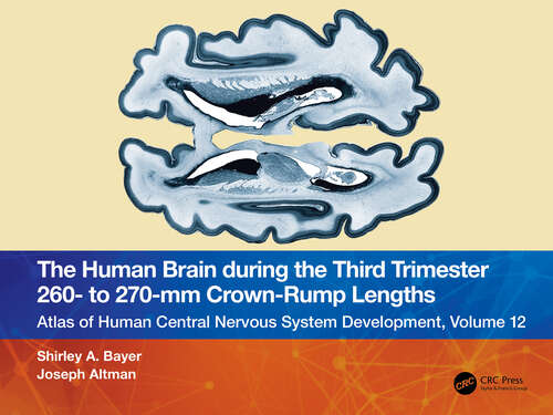 Book cover of The Human Brain during the Third Trimester 260– to 270–mm Crown-Rump Lengths: Atlas of Central Nervous System Development, Volume 12