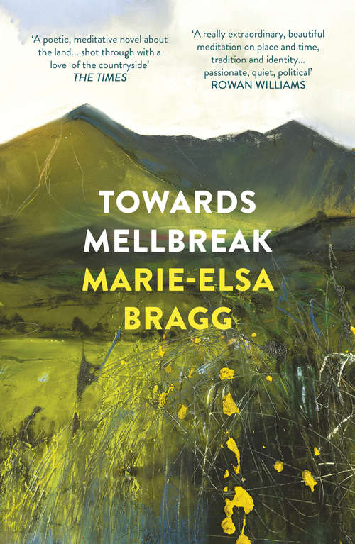 Book cover of Towards Mellbreak
