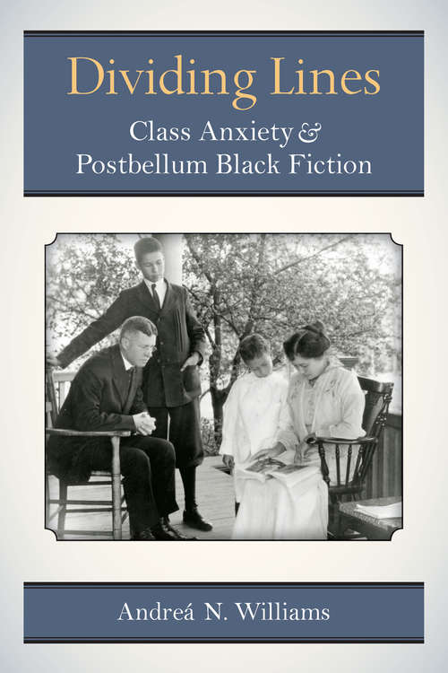 Book cover of Dividing Lines: Class Anxiety and Postbellum Black Fiction (Class : Culture)